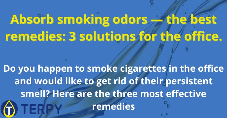 Absorb smoking odors — the best remedies
