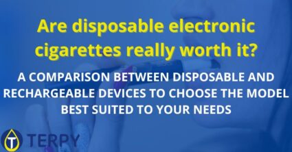 Are disposable electronic cigarettes really worth it?