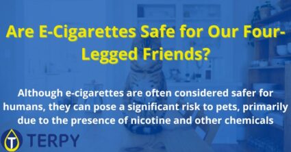 Are E-Cigarettes Safe for Our Four-Legged Friends?