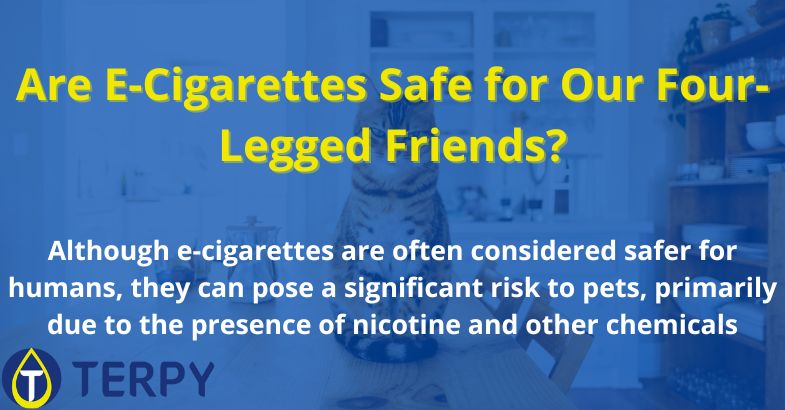 Are E-Cigarettes Safe for Our Four-Legged Friends?